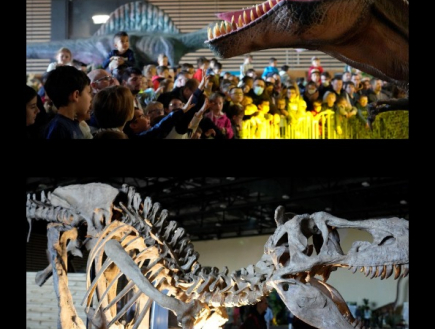 Le Musée Éphémère : Exposition de dinosaures